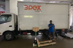 3Pex