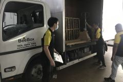 Beebox-2