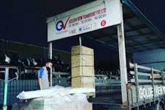 IMG_6977