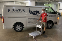Pegasus