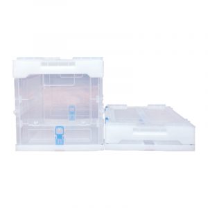Box / Container (10kg)