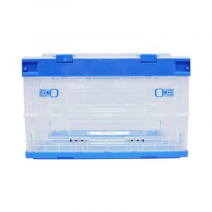 Box / Container (20kg)